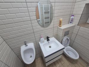 a bathroom with a sink and a toilet and a mirror at Hello Retezat in Râu de Mori +13 photos