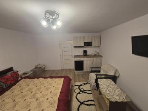 a living room with a bed and a kitchen at Hello Retezat in Râu de Mori