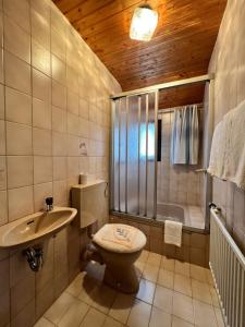 a bathroom with a toilet and a sink and a shower at Aparts4ring 5 Nürburg in Nürburg