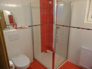 a bathroom with a shower and a toilet at Moderni Domek Lipno in Lipno nad Vltavou +11 photos