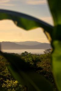 a view of a body of water from a plant at Hotel Sol y Mar in Santa Catalina