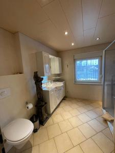 a bathroom with a toilet and a sink at Ferienwohnung ILSENHOF in Königsbrück +14 photos
