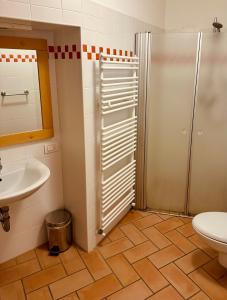 a bathroom with a shower and a toilet and a sink at Agritur Ca' de Mel in Fiavè +41 photos