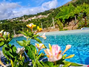 a plant with flowers next to a body of water at Casa da Barroca - Piscina Exclusiva & Natureza in Arcos de Valdevez