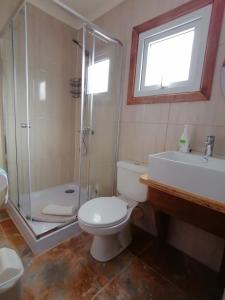 a bathroom with a toilet and a shower and a sink at Espacio Innata in Punta Arenas +1 photo