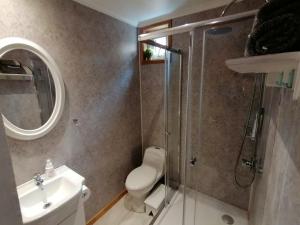 a bathroom with a shower and a toilet and a sink at Espacio Innata in Punta Arenas