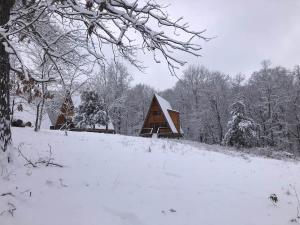 a cabin on a hill in the snow at Post Oak Perch-Cozy Forest A-frame Near Bentonville in Rogers