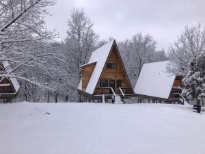 a house with a snow covered roof in the snow at Post Oak Perch-Cozy Forest A-frame Near Bentonville in Rogers