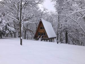 a cabin with a snow covered roof in the snow at Post Oak Perch-Cozy Forest A-frame Near Bentonville in Rogers +25 photos