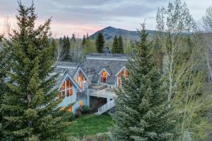 an aerial view of a home with trees at Abode at Golden Spruce in Wilson
