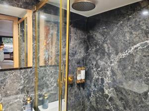 a bathroom with a shower and a sink at Villa Raspail in Ivry-sur-Seine +77 photos