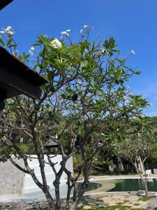 Gallery image of Sea view in Nathon Bay