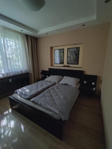 a bedroom with a large bed and two windows at Városközpont Tata in Tata
