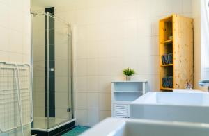 a bathroom with a glass shower and a sink at Ferienwohnung Kahlseneck in Fischerndorf