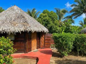 a small hut with a straw roof and a red floor at Fare PEA ITI Romantic Lodge in Patio