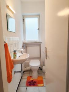 a bathroom with a toilet and a sink and a window at Ferienhaus Iris in Radolfzell am Bodensee +4 photos