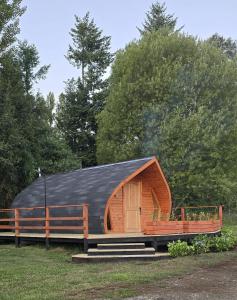 a cabin with a black roof and a wooden door at Tiny House in Trape