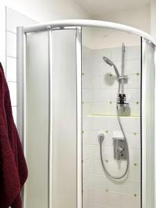 a shower with a glass door in a bathroom at Residenza Renata in Onno