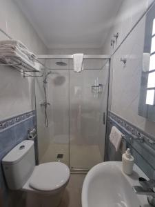 a bathroom with a shower and a toilet and a sink at Apartamentos El Barrio in Nerja +53 photos