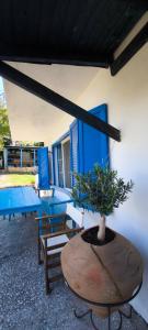 a table with a potted plant on top at Milisia Rooms in Samothraki