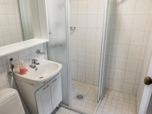 a bathroom with a sink and a shower at Holiday Home Levi star 1502 by Interhome in Levi +1 photo