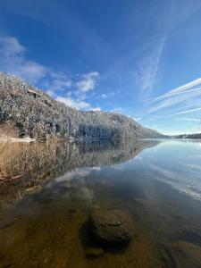 a large body of water with trees on the shore at CHALET Cosy in Uxelles