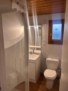 a bathroom with a toilet and a sink and a shower at CHALET Cosy in Uxelles