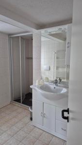 a bathroom with a white sink and a shower at Helenenhof in Kurort Altenberg