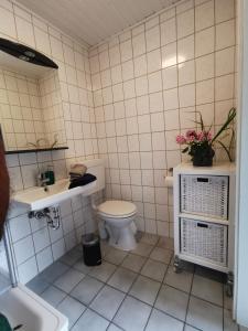 a bathroom with a toilet and a sink at 14 Bienenstock - Hof Wiesengrund in Parchtitz +26 photos