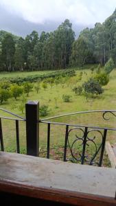 a view of a field with a fence at Vinhas das Grutas in Soledade