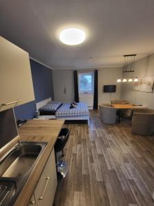 eine Küche und ein Wohnzimmer mit einem Bett und einem Waschbecken in der Unterkunft 12 Mohnblume - Hof Wiesengrund in Parchtitz