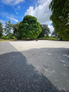 a large parking lot with a tree in the background at The Green Lounge in Baskamp