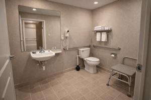 a bathroom with a sink and a toilet and a mirror at Spring Place Inn & Suites in Millington