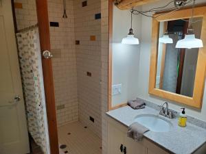a bathroom with a sink and a shower with a mirror at Sunset Bay Lodge in Abbeyville +23 photos