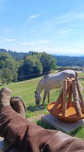 a horse grazing in a field next to a persons foot at Western Style Planenwagen in Henndorf +5 photos