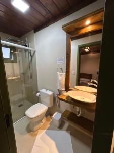 a bathroom with a toilet and a sink and a mirror at Pousada Charm Canela in Canela +34 photos