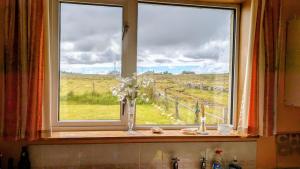 a window with a vase of flowers on a counter at Cosy Croft in Lower Shader