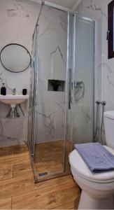 a bathroom with a shower and a toilet and a sink at Αγριελια Apartments in Platy