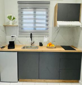 a kitchen with a sink and a bowl of fruit on a counter at Αγριελια Apartments in Platy