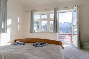 a bed in a bedroom with a large window at Villa Weber Apartments in Albrechtice v Jizerských horách