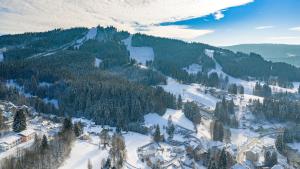 an aerial view of a snow covered mountain at Villa Weber Apartments in Albrechtice v Jizerských horách