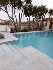 a swimming pool with palm trees in a yard at Veronica Villa in Partaloa