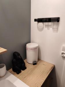 a counter with a trash can on a wooden shelf at Le Havre de la jungle in Montereau