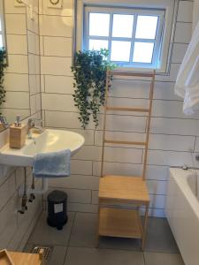 a bathroom with a sink and a toilet and a ladder at Annekset - Bjørnø in Faaborg +17 photos