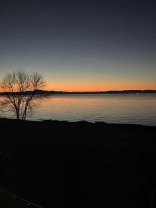 a tree sitting on the shore of a body of water at Auberge Foin de mer in Kamouraska