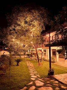 ein Baum mit Lichtern in einem Hof bei Nacht in der Unterkunft Antolina Hotel in Goiás