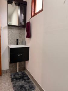 a bathroom with a sink and a mirror and a rug at frente del mirador in Tres Lagos