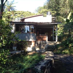 a small house in the middle of a forest at Casa Cafetal Coatepec in Coatepec