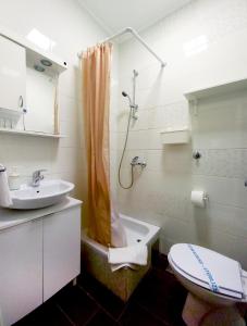 a bathroom with a sink and a toilet and a shower at Sobe Gajić Sremski Karlovci in Sremski Karlovci +46 photos