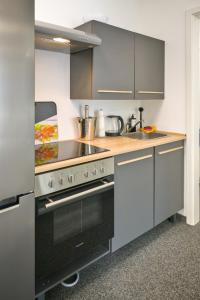 a kitchen with a stove and a sink at Schlossberg Residence in Freiburg im Breisgau